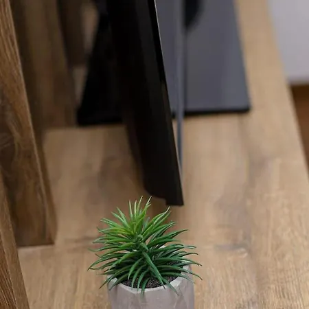 Exclusive - Nivalis * Jahorina