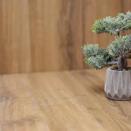 Exclusive - Nivalis * Jahorina